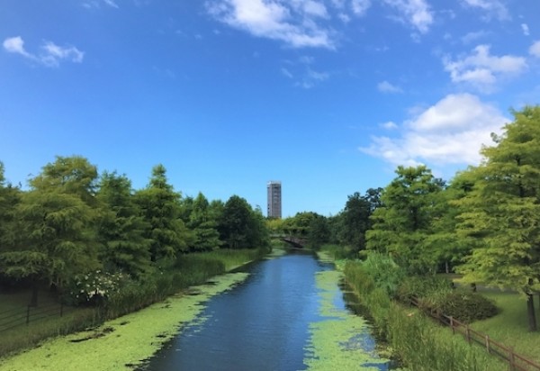 静岡県浜松市のおすすめホームページ制作会社