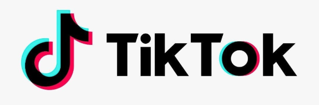 2019年のキャンペーンサイトのカギ_TikTok