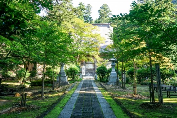 燕市の優良ホームページ制作会社3社をプロが厳選!