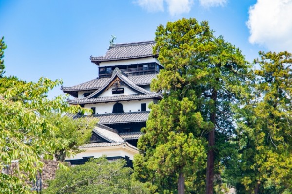 松江市でおすすめの優良ホームページ制作会社
