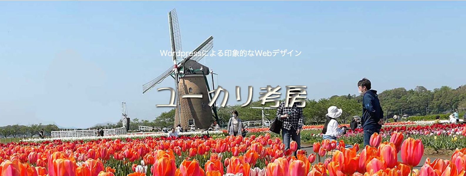 ユーカリ考房
