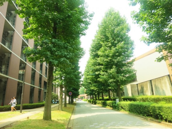 見やすい大学のホームページ10選と制作する際のポイントを解説!