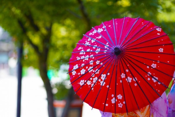 京都府のおすすめリスティング広告会社