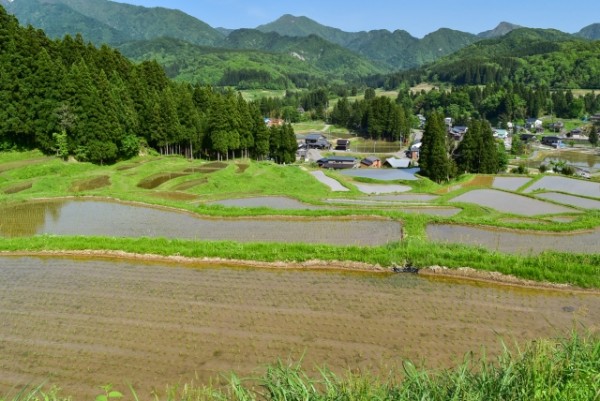 三条市の優良ホームページ制作会社5社をプロが厳選!