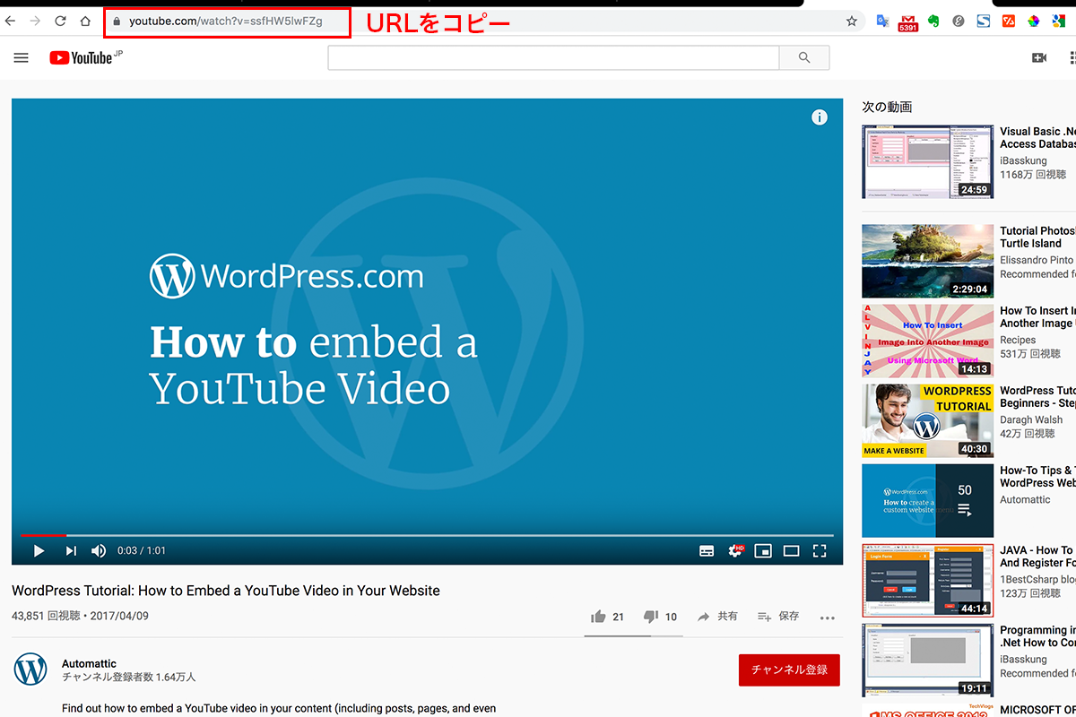 Wordpressへのyoutube動画の埋め込み方法 便利なプラグインも紹介 Web幹事