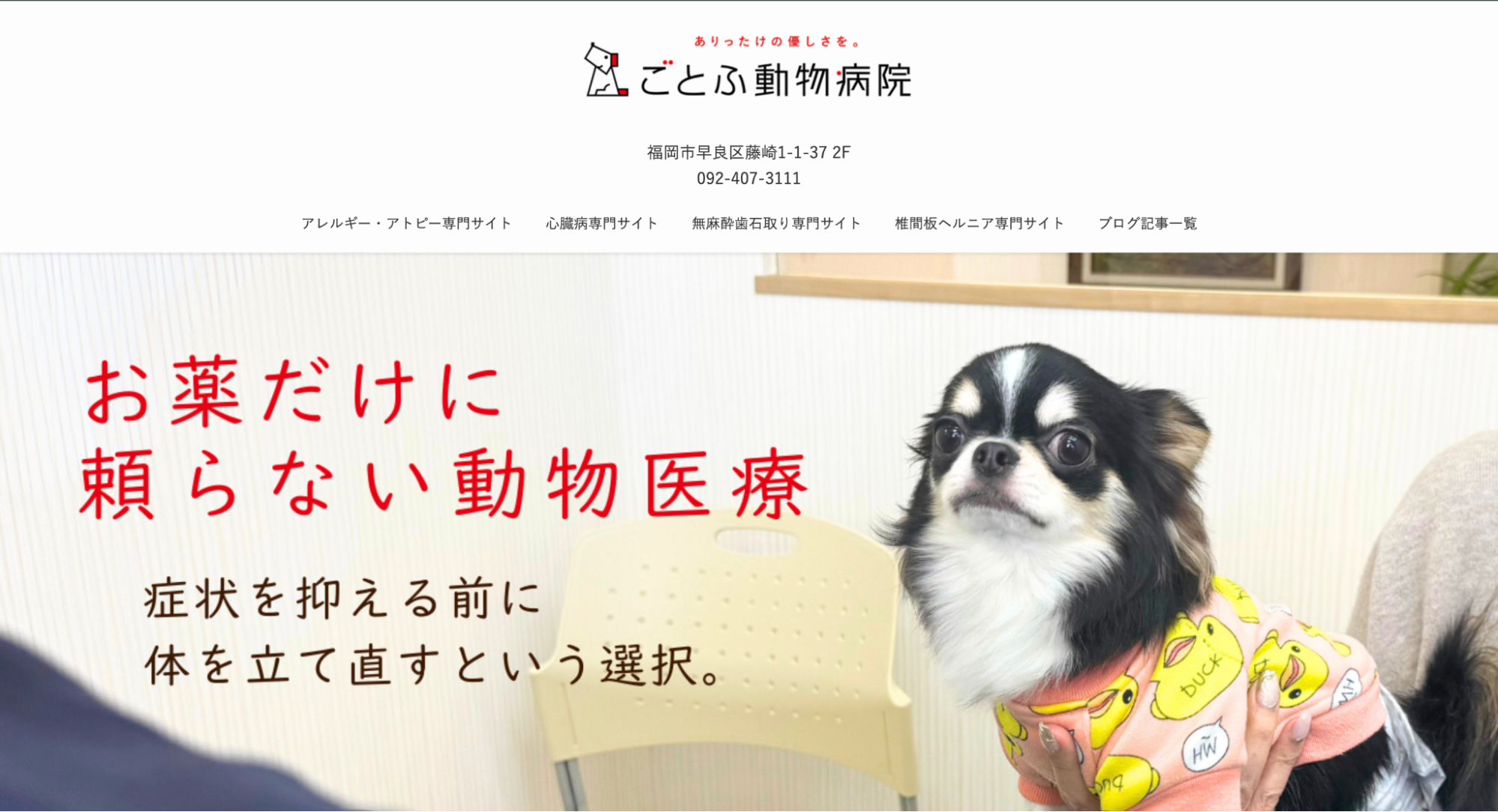 ごとふ動物病院